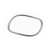 Retaining ring spring